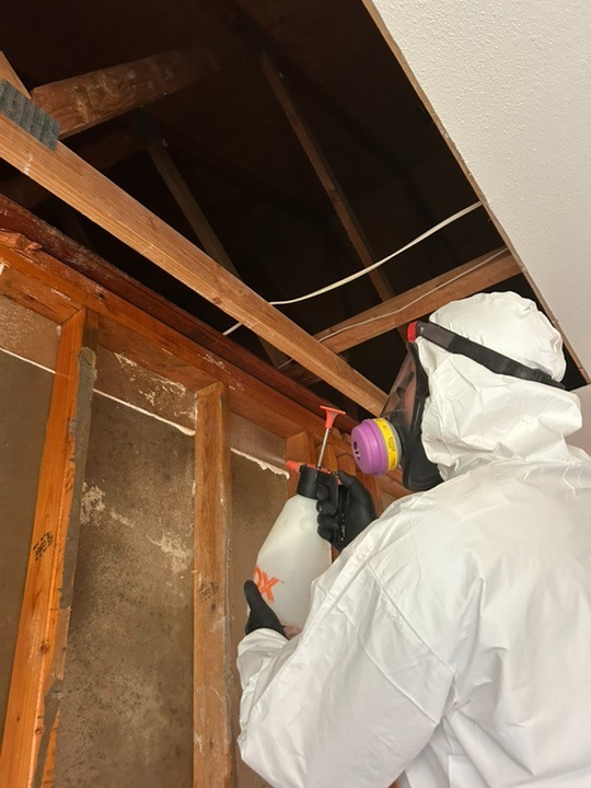 Professional restoration work