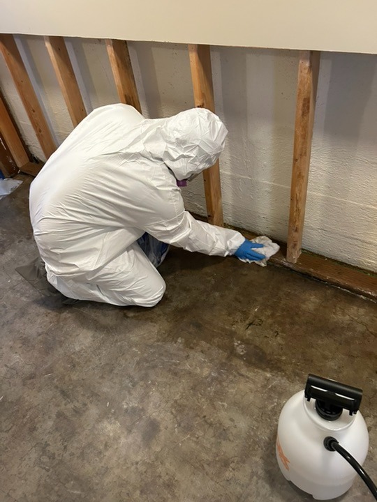 Professional technician in protective gear performing restoration work