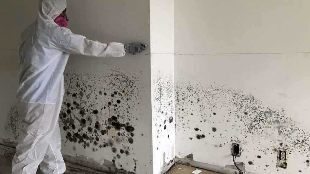 NRE Mold 1200x675 1024x576